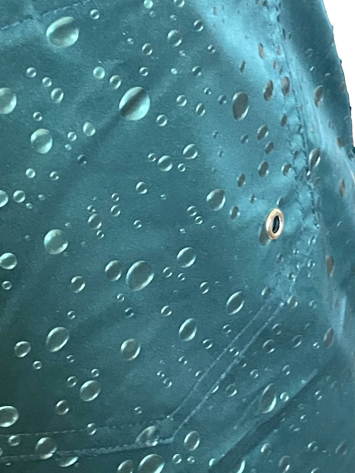 High-quality image of zwemshort speedy dark green