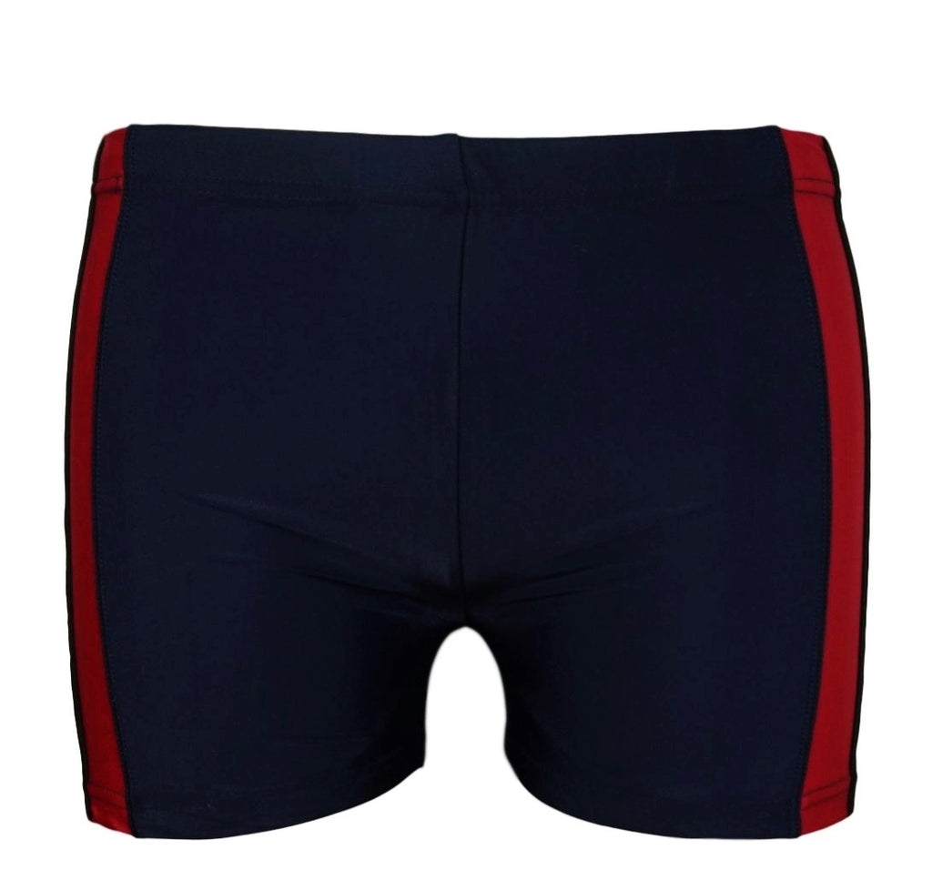 High-quality image of zwemboxer vlieland marine